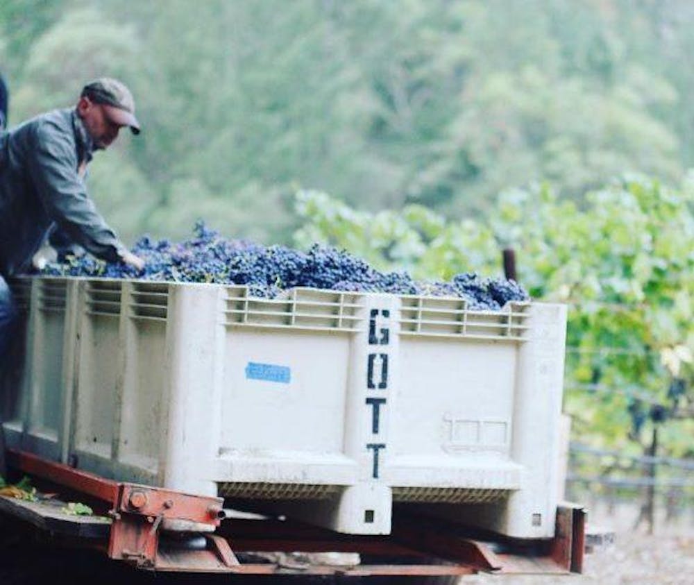 Joel Gott 'Old Vine' Zinfandel 2023 :: Zinfandel