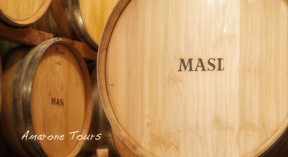 Masi 'Masianco' Pinot Grigio Verduzzo 2024 :: Pinot Grigio / Pinot
