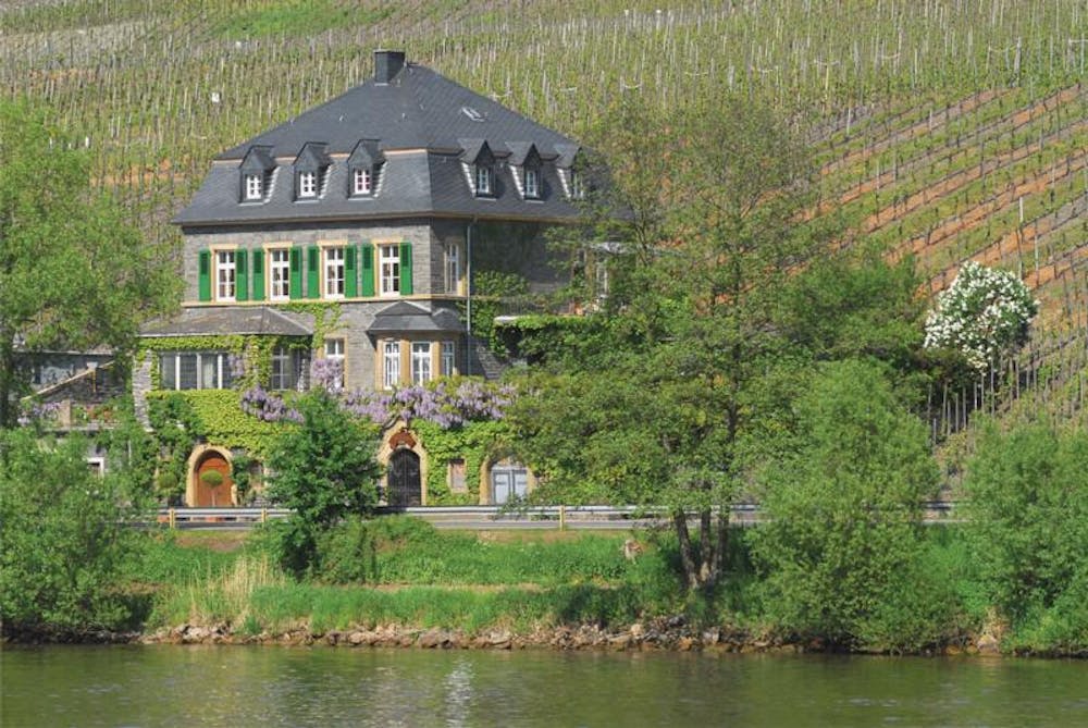 Dr. Loosen Urziger Wurzgarten Riesling Spatlese 2023 :: Riesling