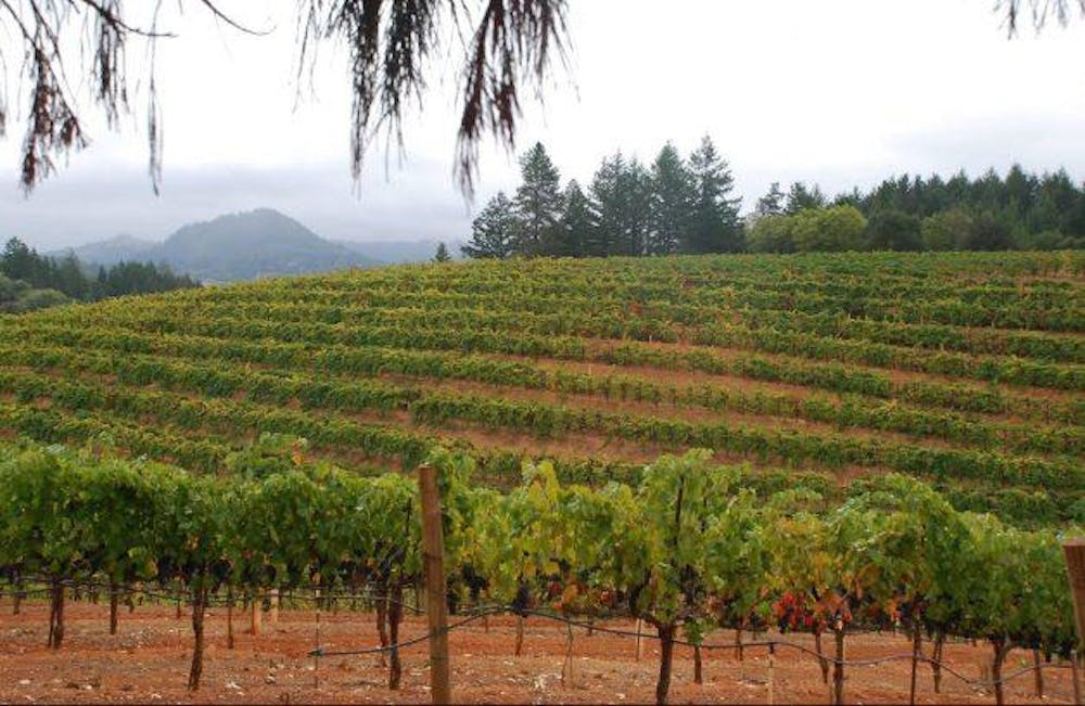 Four Vines 'Biker' Zinfandel 2012 :: Zinfandel