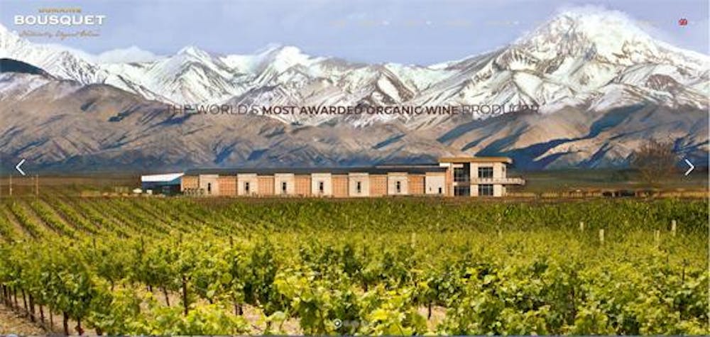 Domaine Bousquet Organic Cabernet Sauvignon 2023 :: Cabernet Sauvignon