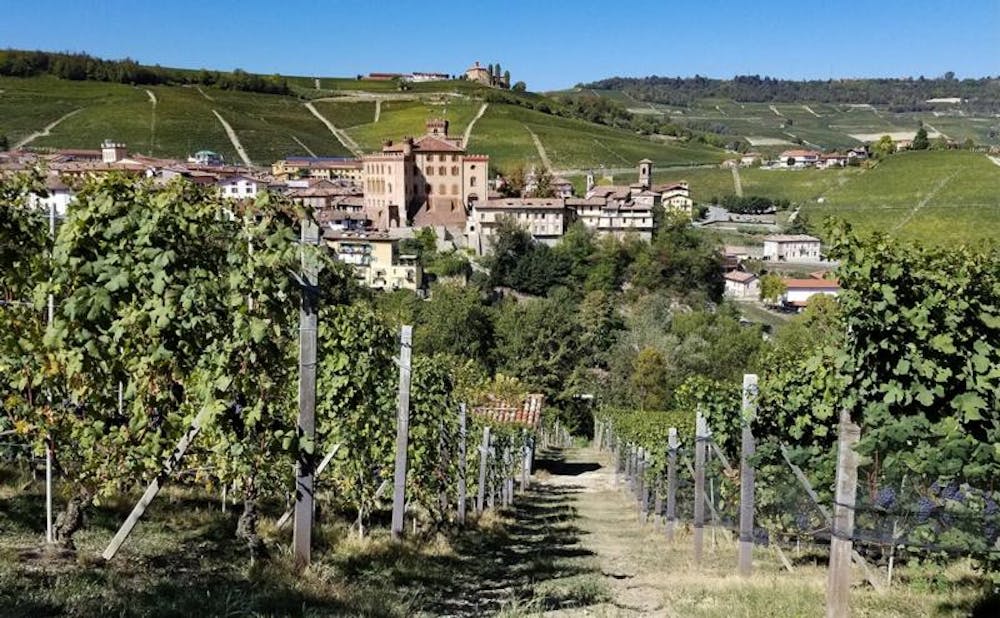 ポストモダン　sergio asti バーセット　レア Gray - 2150-907 | Monstuart Long Media Console/Buffet | Signature