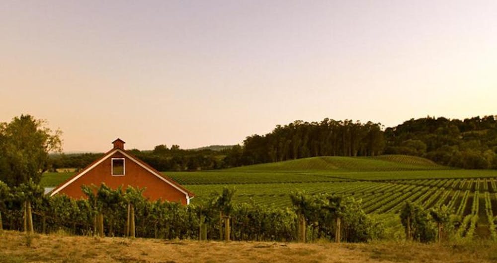 Sonoma Cutrer 'Sonoma Coast' Pinot Noir 2014 :: Pinot Noir