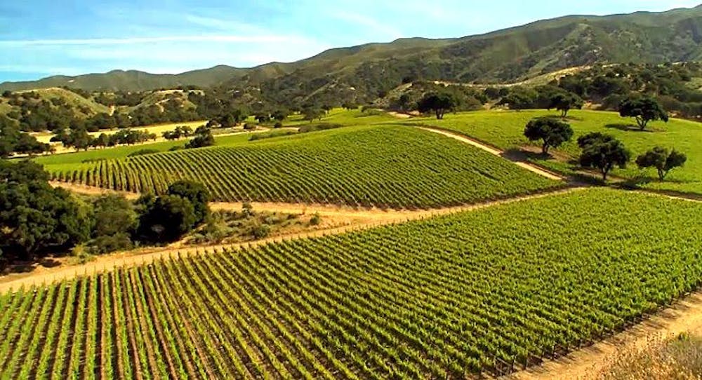 Belle Glos 2 Bottle Gift Set Pinot Noir 2021 :: Pinot Noir