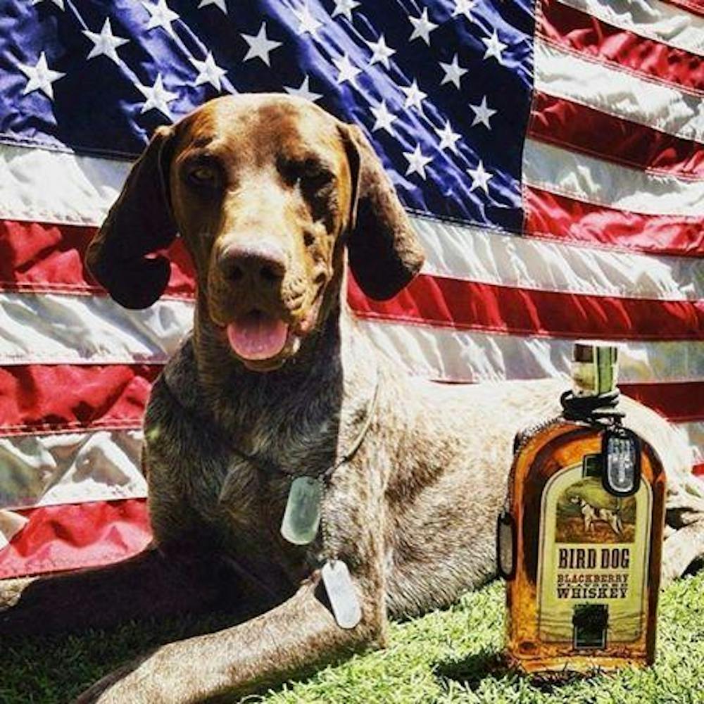 Bird Dog Black Cherry Whiskey 750ml :: Whiskey