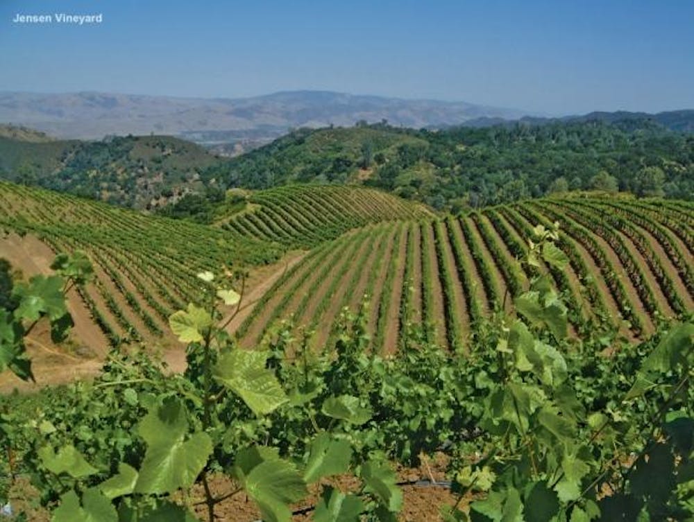 Calera 'Ryan Vineyard' Pinot Noir Mt. Harlan 2020 :: Pinot Noir