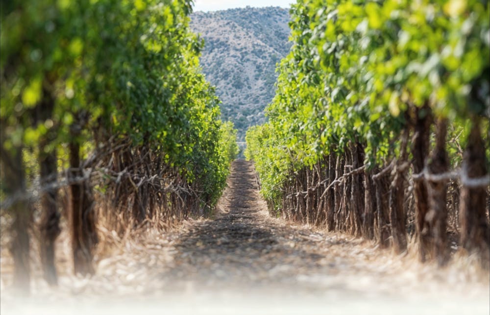 1967年のキャプテンスカーレットマークの入！ブリキとコンチェルトエンジェルお面 1967年のキャプテンスカーレットマークの入！ブリキとコンチェルト