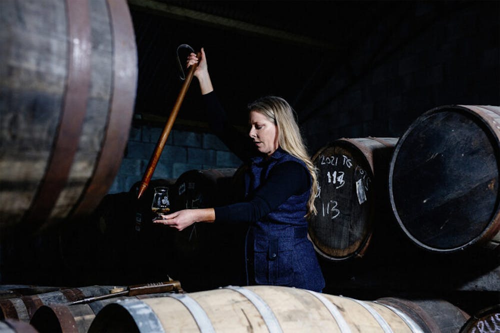 ドリス ウェイブ ジャイアントゴーグシリーズ LARK ガレージキット ドリス ウェイブ ジャイアントゴーグシリーズ LARK ガレージキット