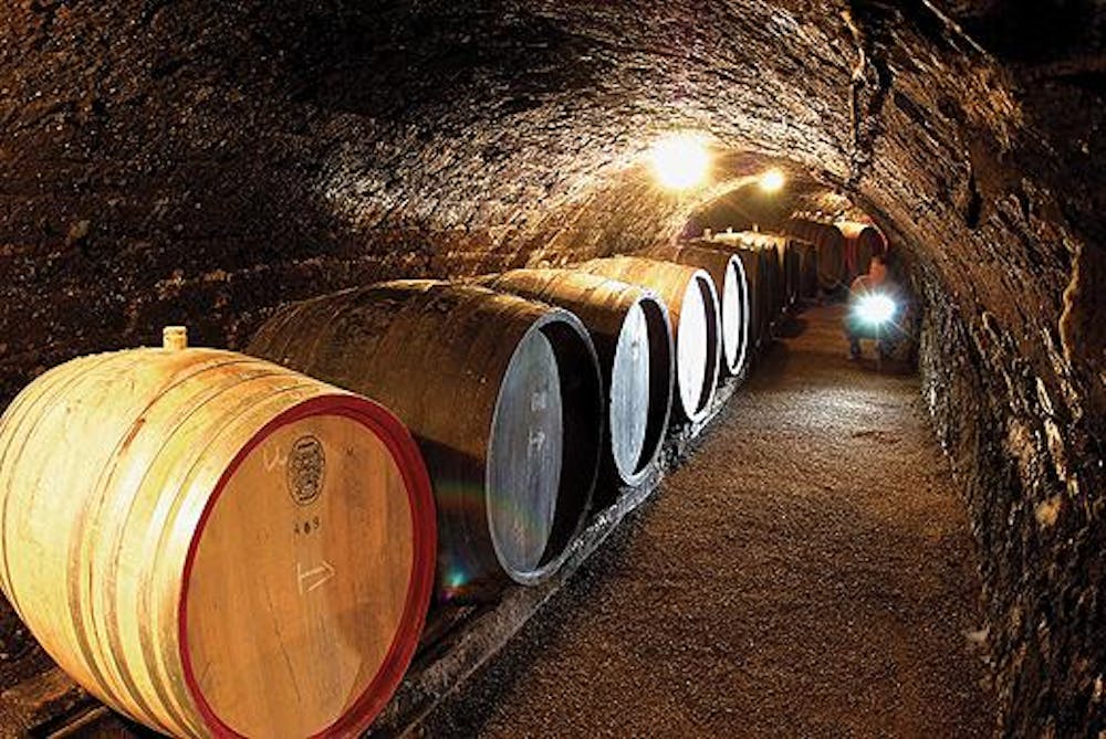 Royal Tokaji Nyulaszo 2017 500ml :: Dessert Wine