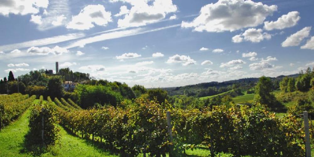 Zardetto Spritz NV 200ml :: Bubbly Dry