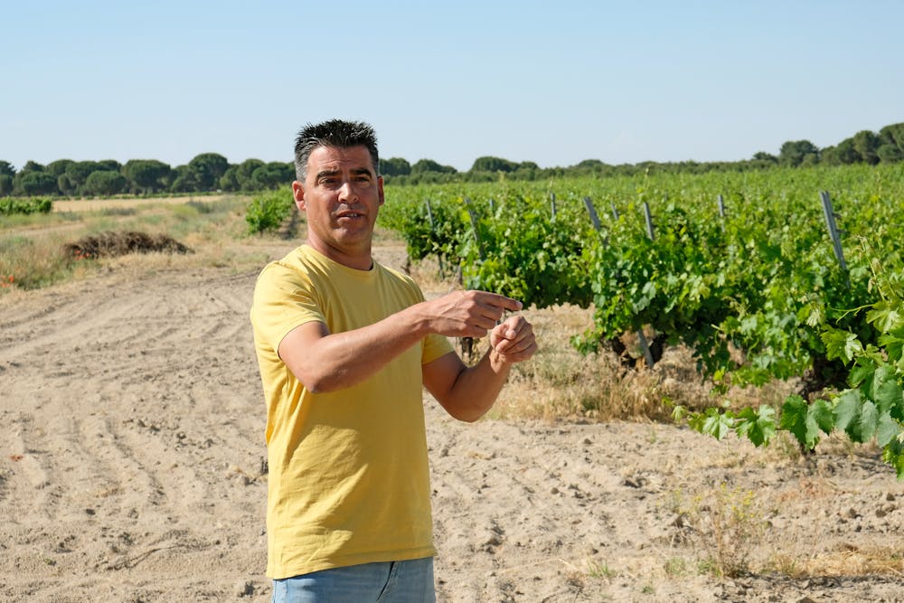 Garciarevalo Casamaro Verdejo 2024 :: Spanish White