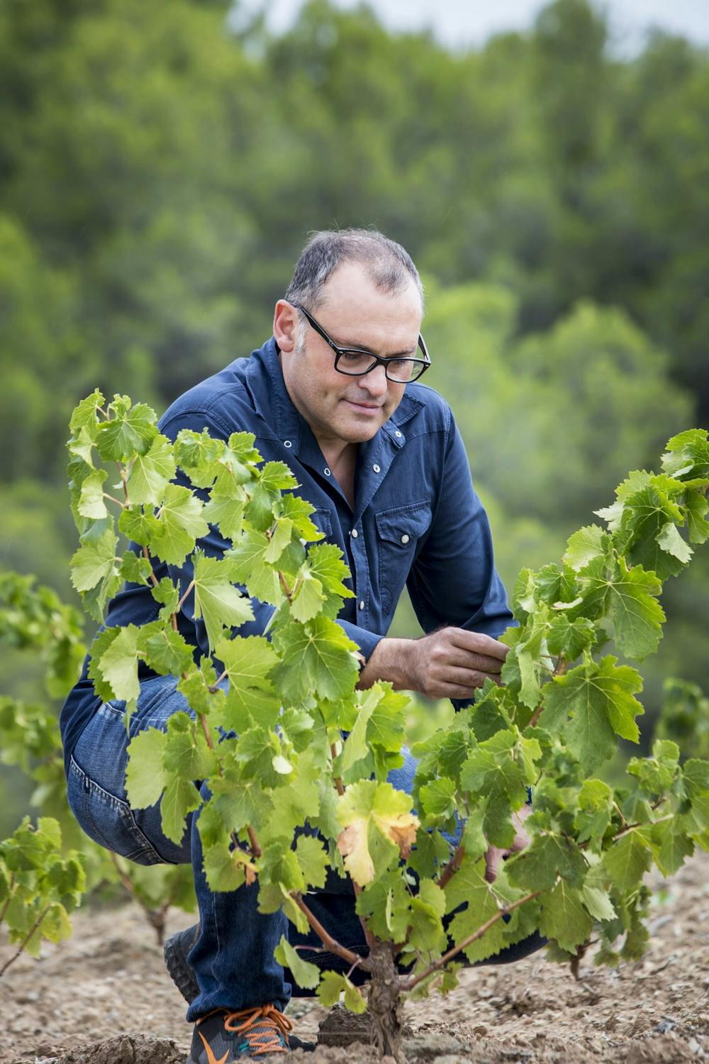 Josep Grau Montsant Volador 2023 :: Spanish Red