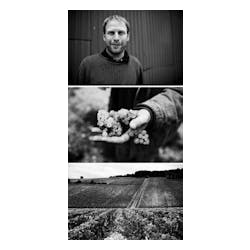 Patrick Piuze