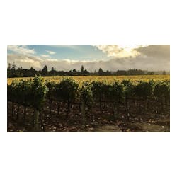 Avaline Wines