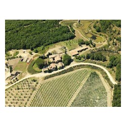 Vino Poggio Salvi