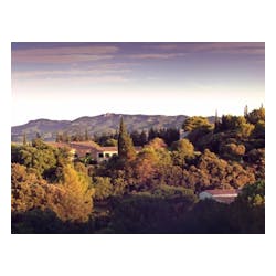 Mas de Daumas Gassac