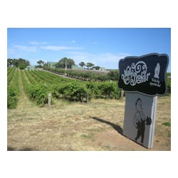 Mollydooker Wines