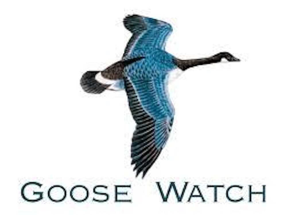 Black Goose | Vintage watches for Gentlemen by Black Goose watches —  Kickstarter