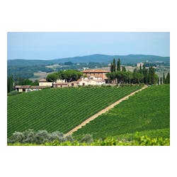 Altesino Winery