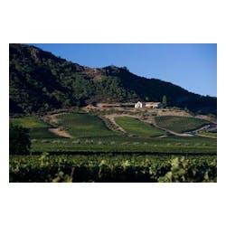 Antica Winery