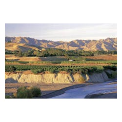 Babich Wines