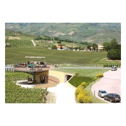 Zaccagnini Wines