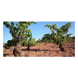 bodegas alto moncayo
