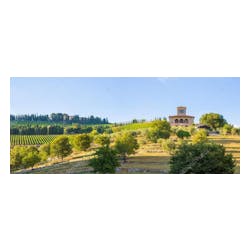 Castello d'Albola Estate
