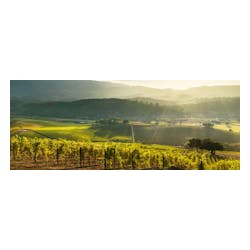 Mumm Napa