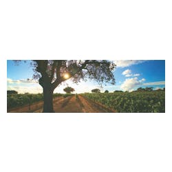 Fess Parker Winery