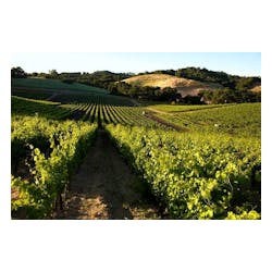 Tablas Creek Vineyards