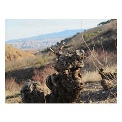 Bodegas Breca