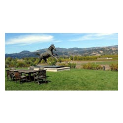 Stonestreet Vineyards