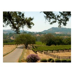 Smoking Loon Wines