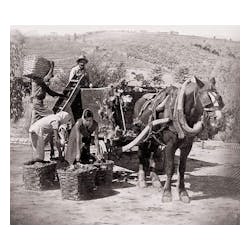 Santero Wines