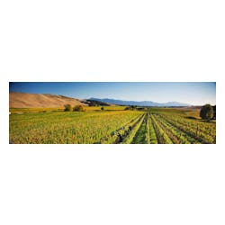 Cloudy Bay Winery