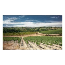 Dei Winery
