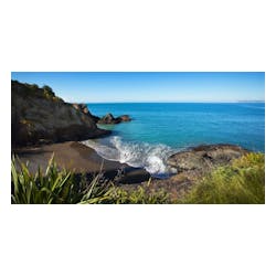 Monkey Bay