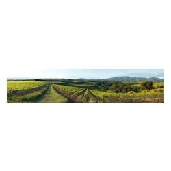 Plungerhead Wines