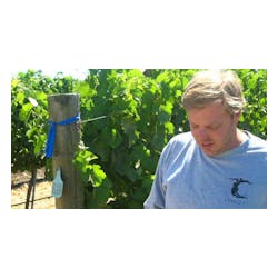Tensley Vineyard