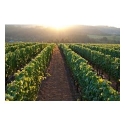 Willamette Valley Vineyards