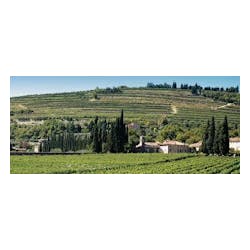Tommasi