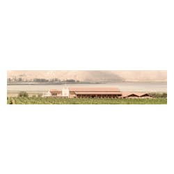 Alpha Estate