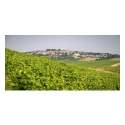 Domaine Bailly-Reverdy