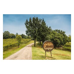 Cavazza Wines