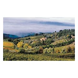 Castellare di Castellina Winery