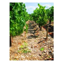 Chateau Julian