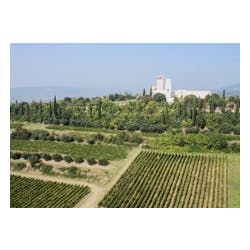 San Giorgio Winery