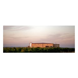 Bodegas Naia