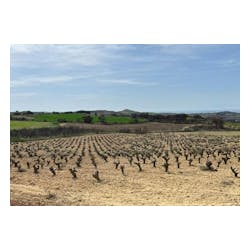 Domaine Lupier